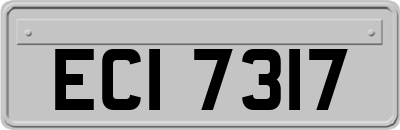 ECI7317