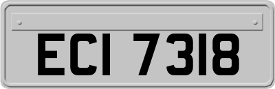 ECI7318