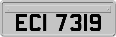 ECI7319