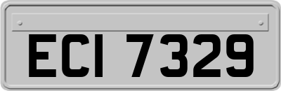 ECI7329
