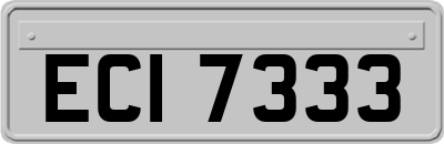 ECI7333