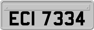 ECI7334