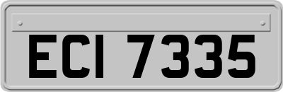 ECI7335