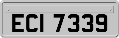 ECI7339