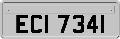 ECI7341