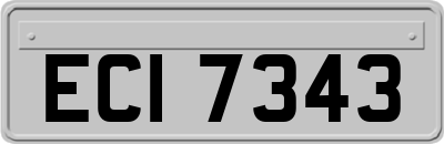 ECI7343