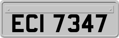 ECI7347