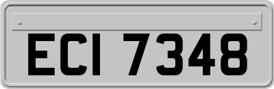ECI7348
