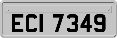 ECI7349