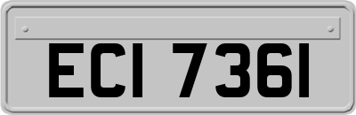 ECI7361