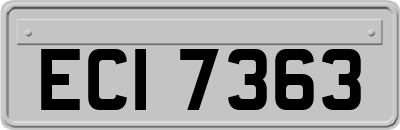 ECI7363