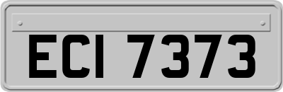 ECI7373