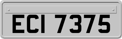 ECI7375