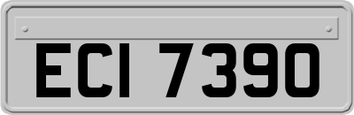 ECI7390