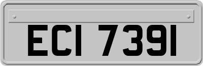 ECI7391