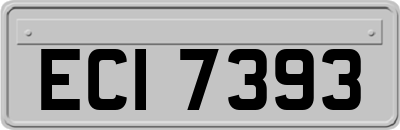 ECI7393