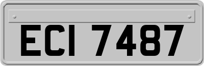 ECI7487