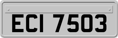 ECI7503