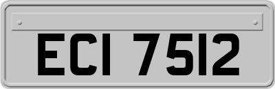 ECI7512