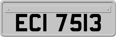ECI7513