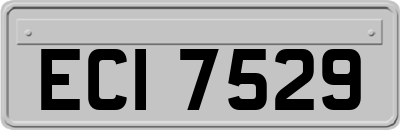 ECI7529