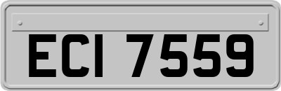 ECI7559