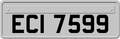 ECI7599