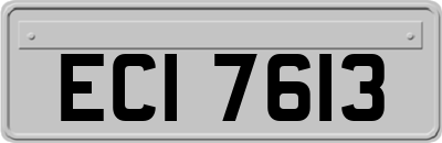 ECI7613