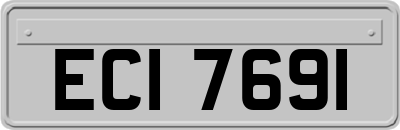 ECI7691