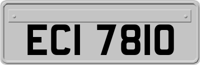 ECI7810
