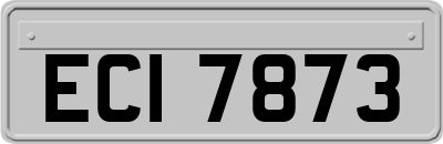 ECI7873