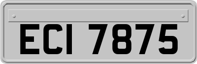ECI7875