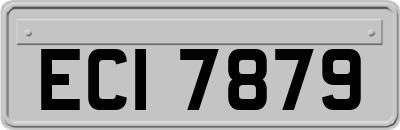 ECI7879