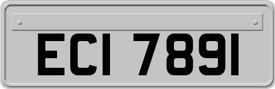 ECI7891