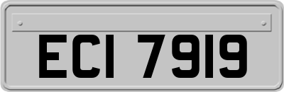 ECI7919