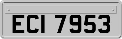 ECI7953