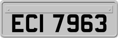 ECI7963
