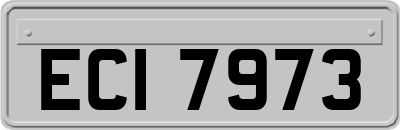 ECI7973