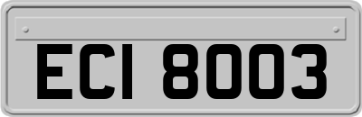 ECI8003