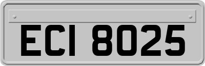 ECI8025