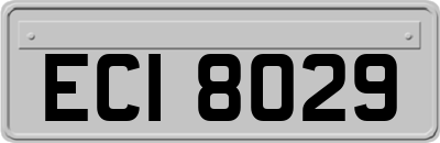 ECI8029
