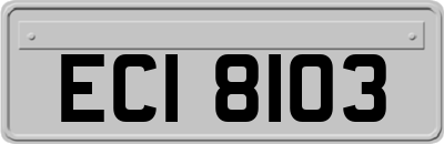 ECI8103
