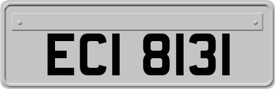 ECI8131