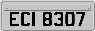ECI8307