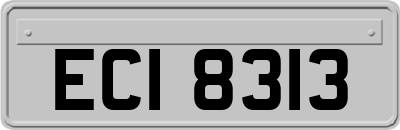 ECI8313