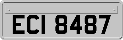 ECI8487