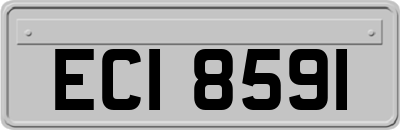 ECI8591