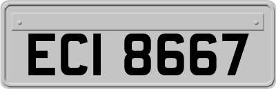ECI8667