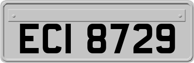 ECI8729