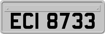ECI8733